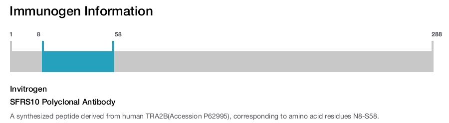 SFRS10 Polyclonal Antibody