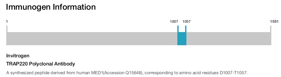 TRAP220 Polyclonal Antibody