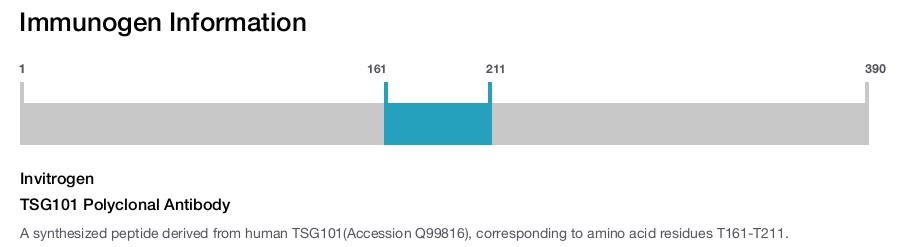 TSG101 Polyclonal Antibody