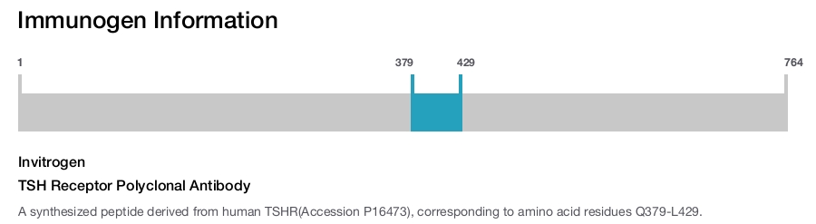 TSH Receptor Polyclonal Antibody
