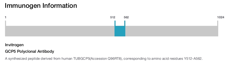 GCP5 Polyclonal Antibody