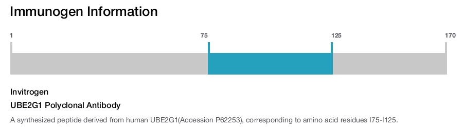 UBE2G1 Polyclonal Antibody