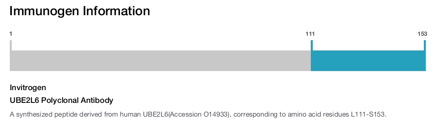UBE2L6 Polyclonal Antibody