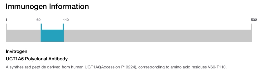 UGT1A6 Polyclonal Antibody