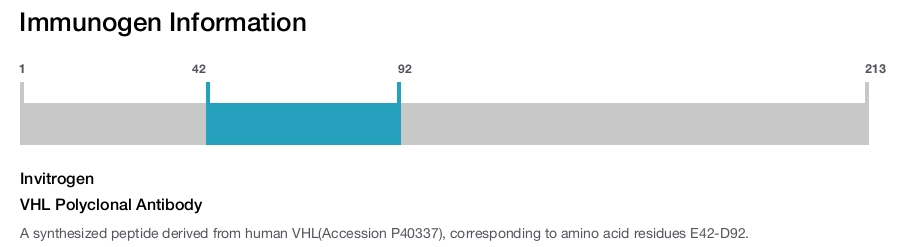 VHL Polyclonal Antibody