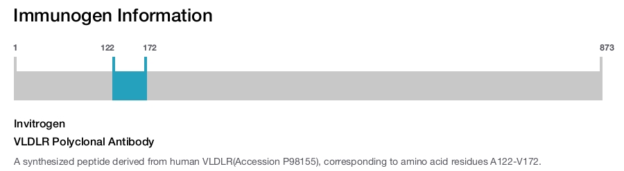 VLDLR Polyclonal Antibody