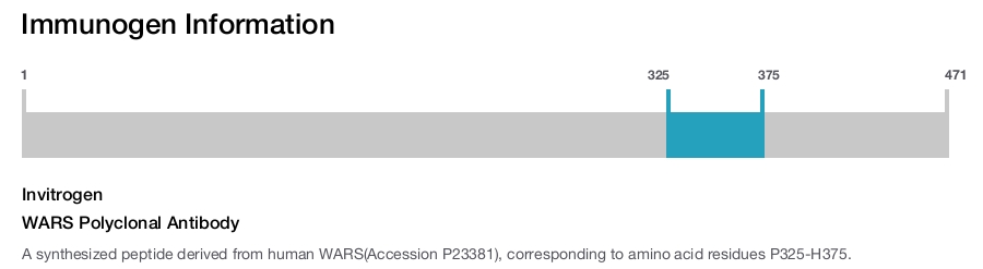 WARS Polyclonal Antibody