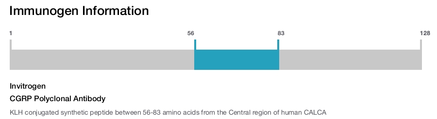 CGRP Polyclonal Antibody