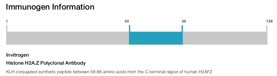 Histone H2A.Z Polyclonal Antibody