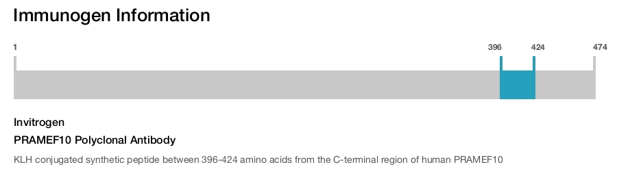 PRAMEF10 Polyclonal Antibody