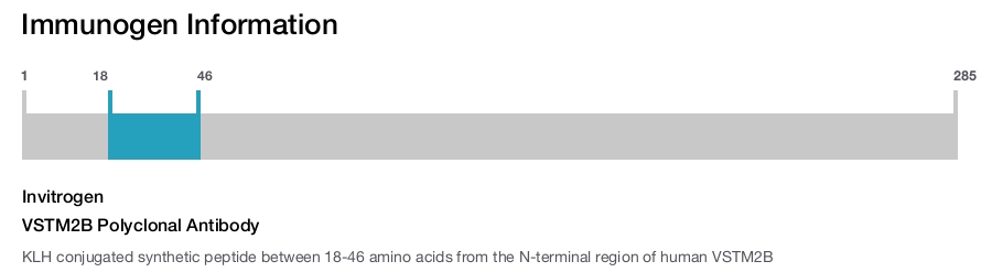 VSTM2B Polyclonal Antibody