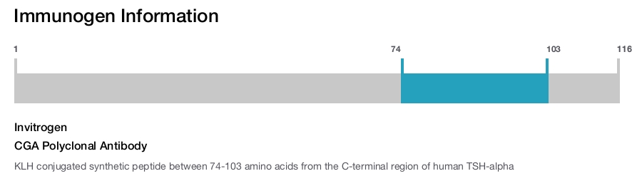CGA Polyclonal Antibody