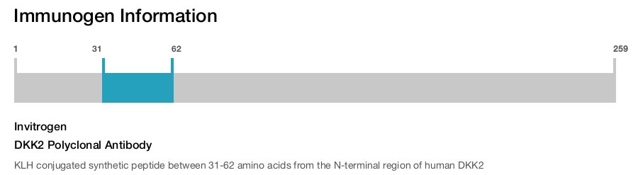DKK2 Polyclonal Antibody