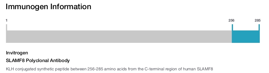 SLAMF8 Polyclonal Antibody