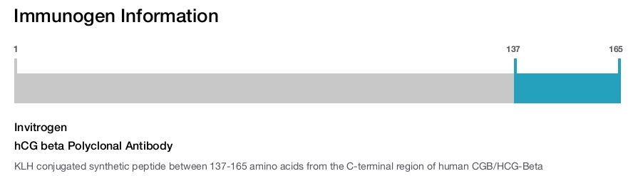 hCG beta Polyclonal Antibody
