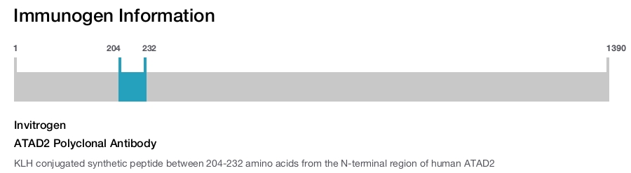 ATAD2 Polyclonal Antibody