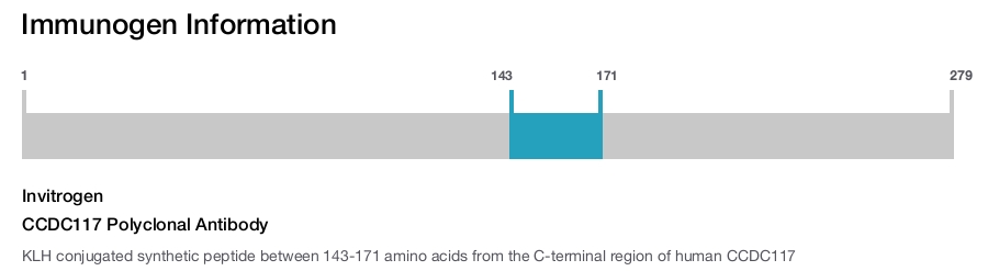CCDC117 Polyclonal Antibody