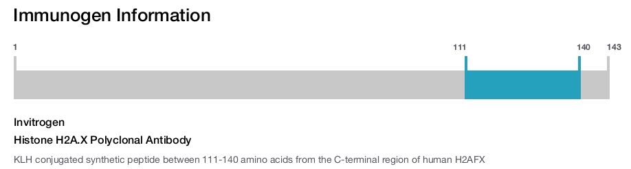 Histone H2A.X Polyclonal Antibody