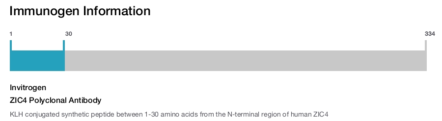 ZIC4 Polyclonal Antibody