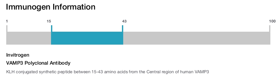 VAMP3 Polyclonal Antibody