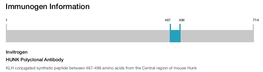 HUNK Polyclonal Antibody