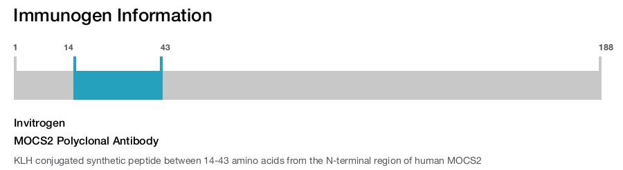MOCS2 Polyclonal Antibody