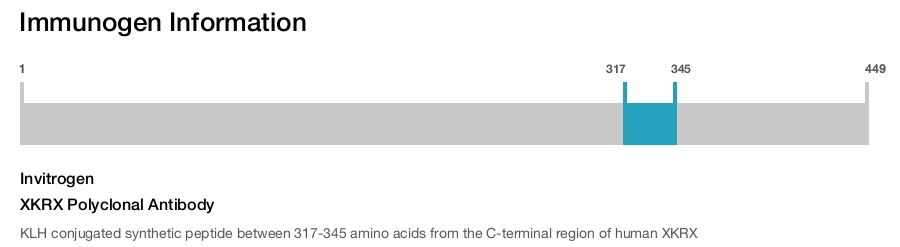 XKRX Polyclonal Antibody