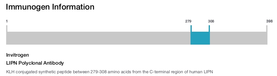 LIPN Polyclonal Antibody