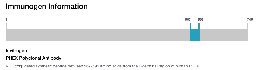 PHEX Polyclonal Antibody