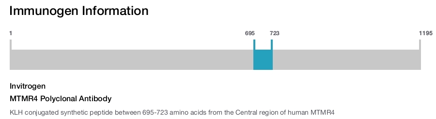 MTMR4 Polyclonal Antibody
