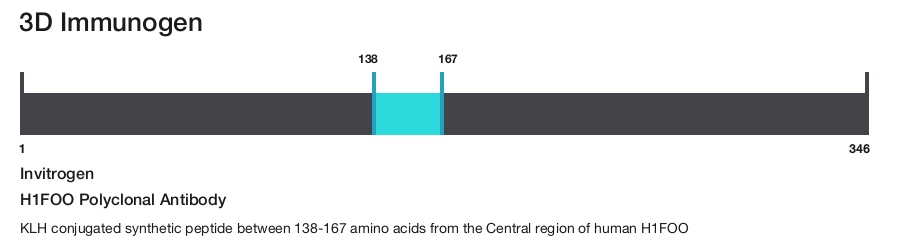 H1FOO Polyclonal Antibody