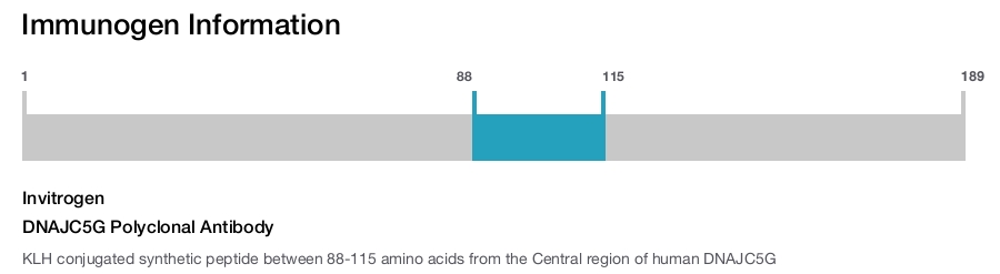 DNAJC5G Polyclonal Antibody