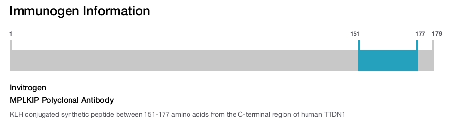 MPLKIP Polyclonal Antibody