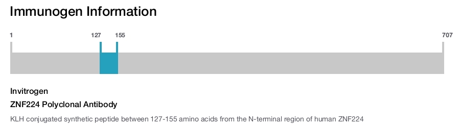 ZNF224 Polyclonal Antibody
