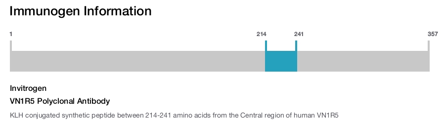 VN1R5 Polyclonal Antibody