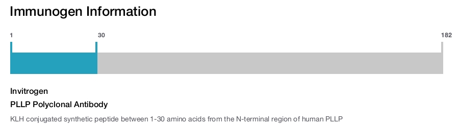 PLLP Polyclonal Antibody