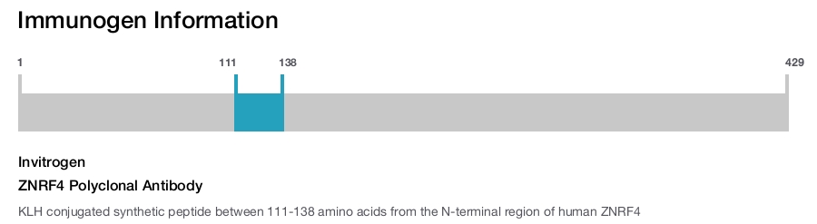 ZNRF4 Polyclonal Antibody