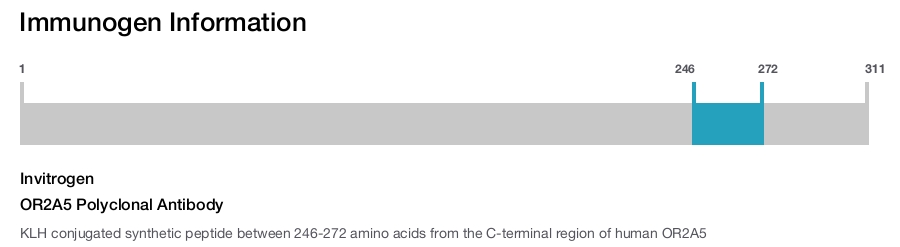 OR2A5 Polyclonal Antibody