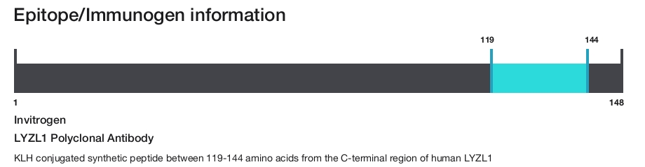 LYZL1 Polyclonal Antibody