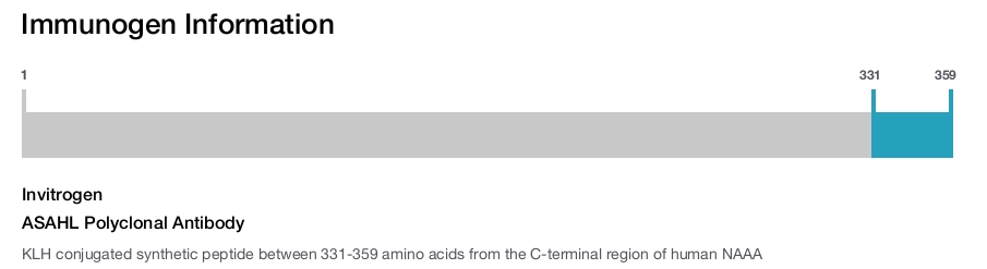 ASAHL Polyclonal Antibody