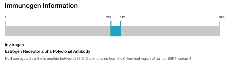 Estrogen Receptor alpha Polyclonal Antibody