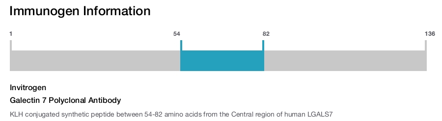 Galectin 7 Polyclonal Antibody
