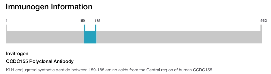 CCDC155 Polyclonal Antibody