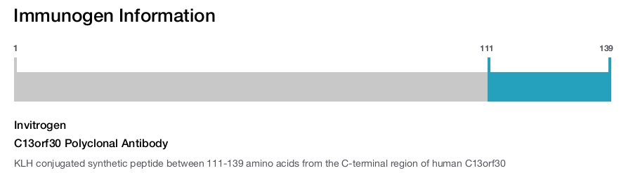 C13orf30 Polyclonal Antibody