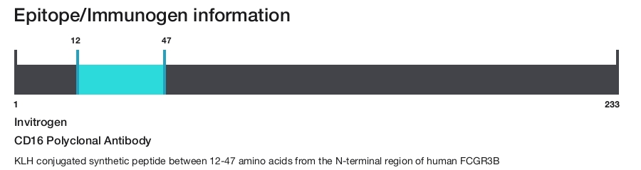 CD16 Polyclonal Antibody