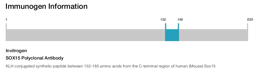 SOX15 Polyclonal Antibody