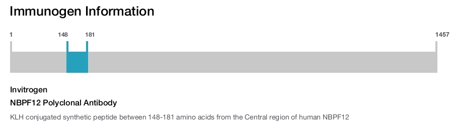 NBPF12 Polyclonal Antibody