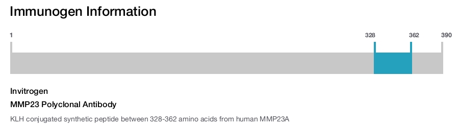 MMP23 Polyclonal Antibody