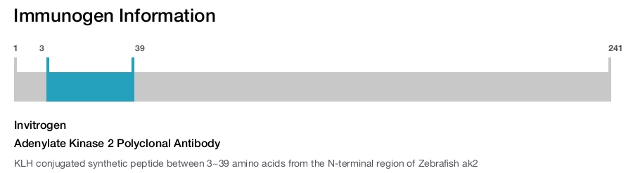 Adenylate Kinase 2 Polyclonal Antibody
