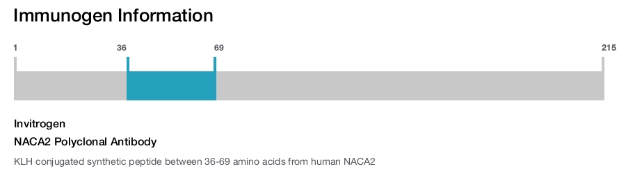 NACA2 Polyclonal Antibody